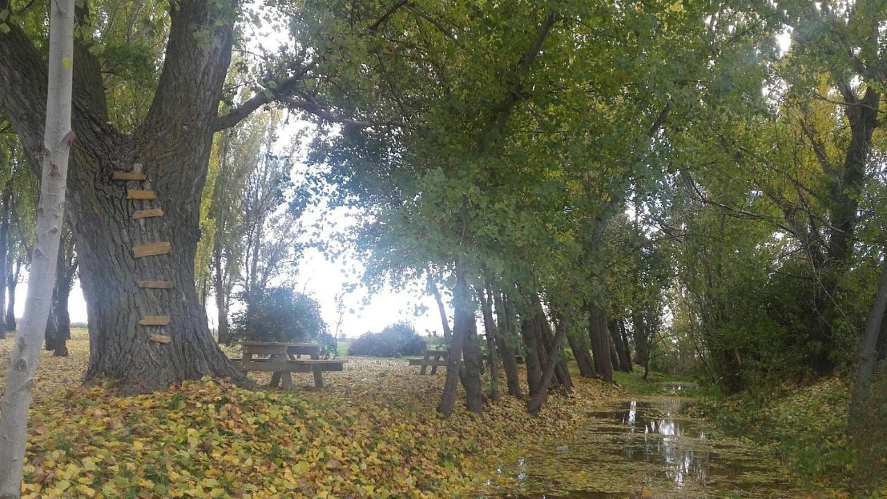 فيلا El Molino Nieva  المظهر الخارجي الصورة